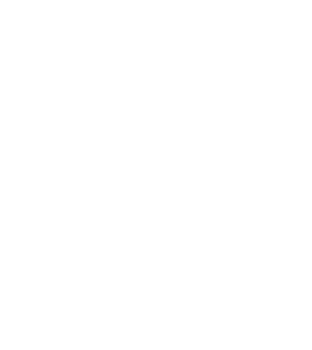 Terri Fujii
