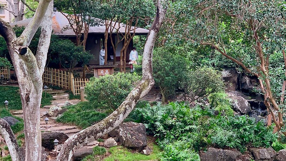 Japanese Tea Garden by Manoa Stream on the University of Hawaii campus.